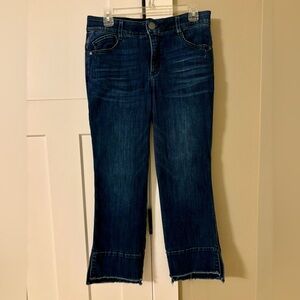 Democracy AbSolution Kick Flare Raw Hem Jeans